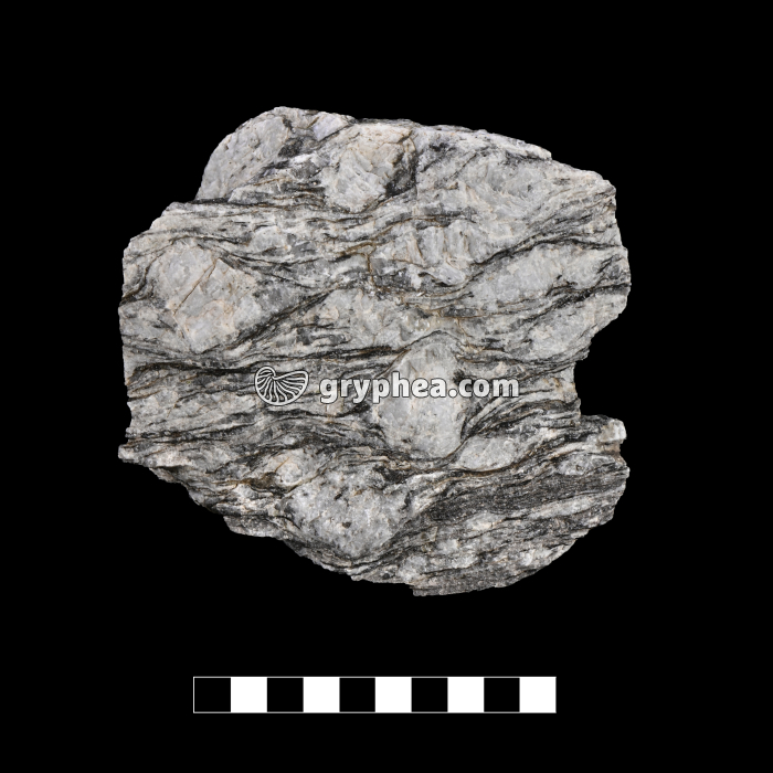 Gneiss oeillé - échantillon - gryphea.com